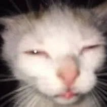 katethaniel