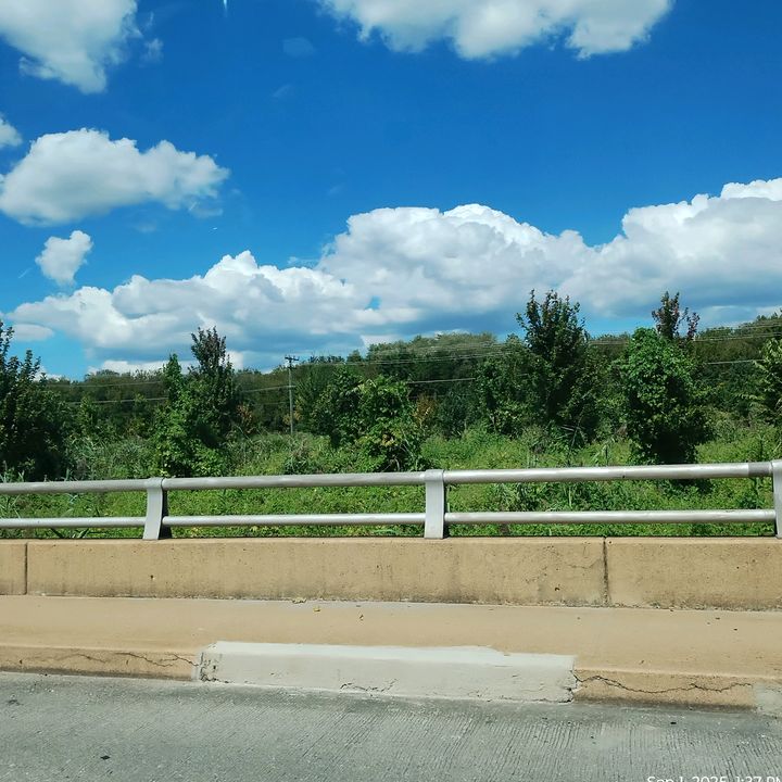 ale2__8
