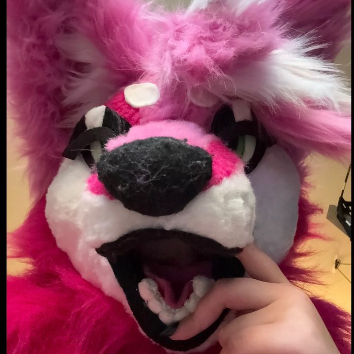 pinkpawsuits
