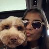 malin.shar