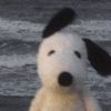 nomoggingpls