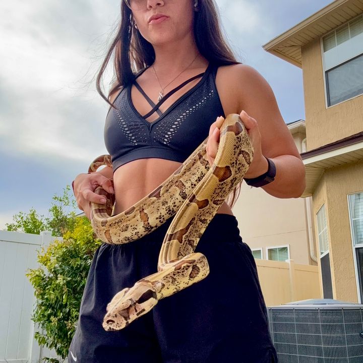 @carpe.diem.serpents