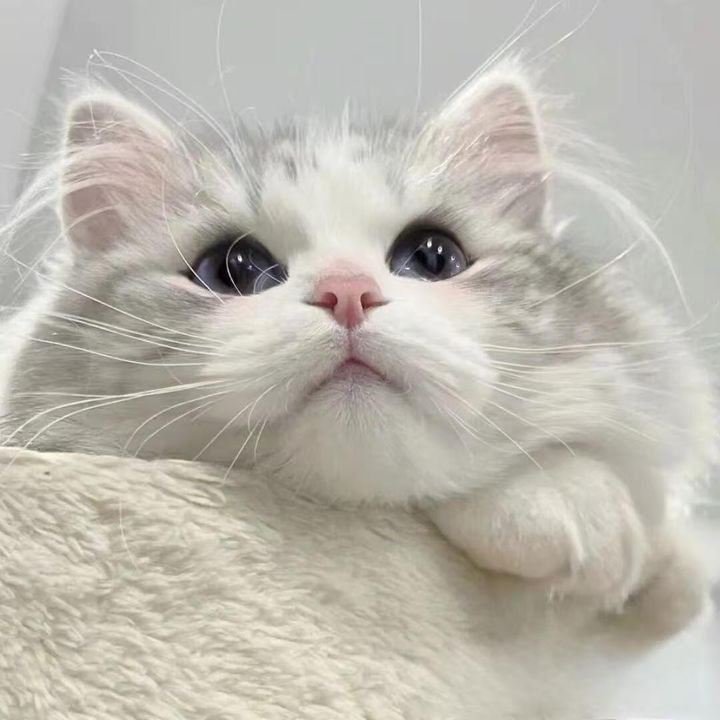 @family.happiness145