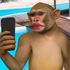 memermonkey1