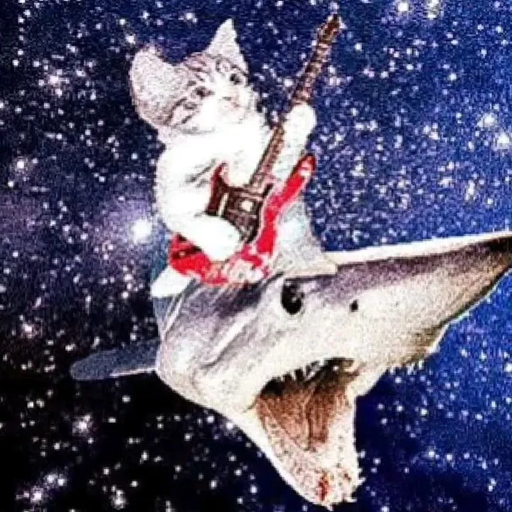 meowch
