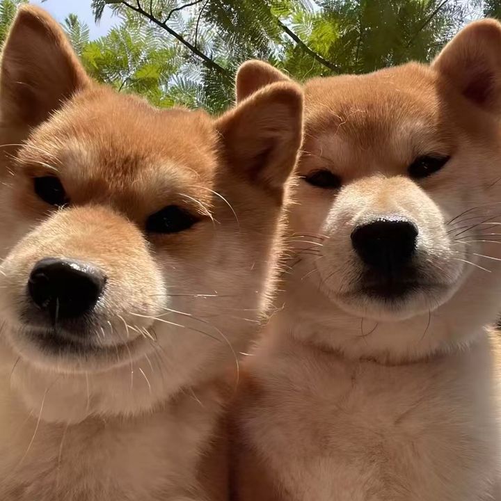 kwz9fnn7