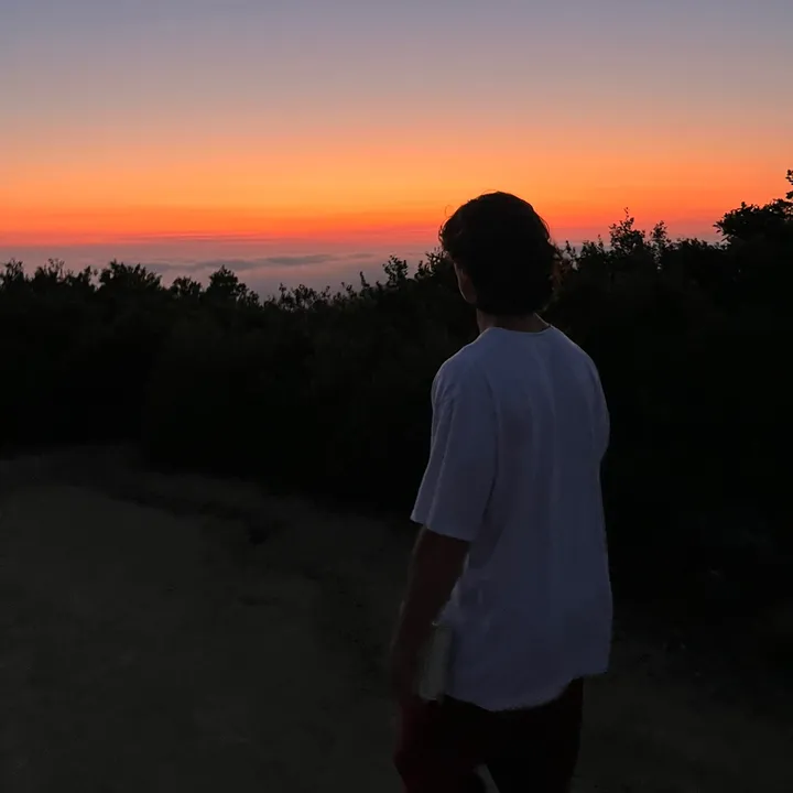 dsviews