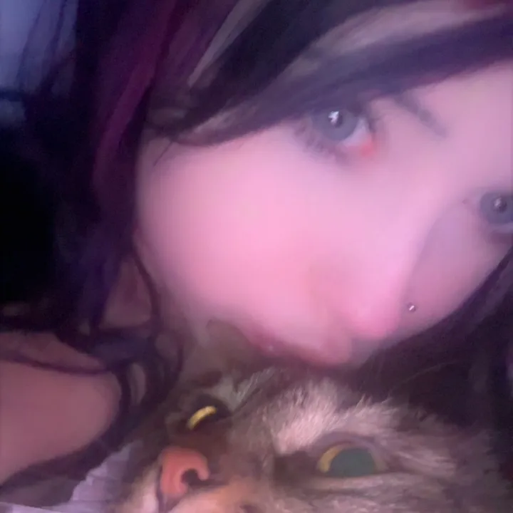 k4ymeow