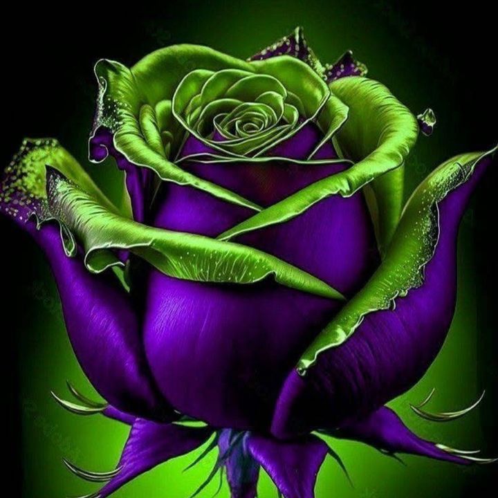 @tweetie929