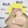 user6738719614135