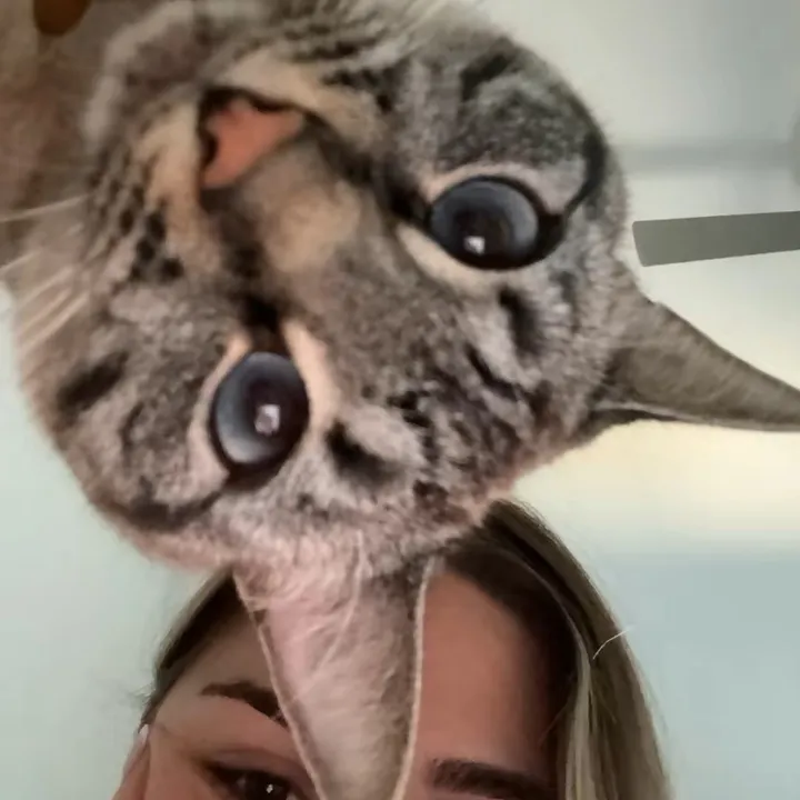 julialukaz
