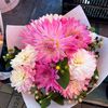 lina_m078