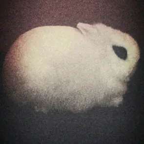resemblanceofyurei