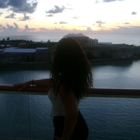 tamar.main00