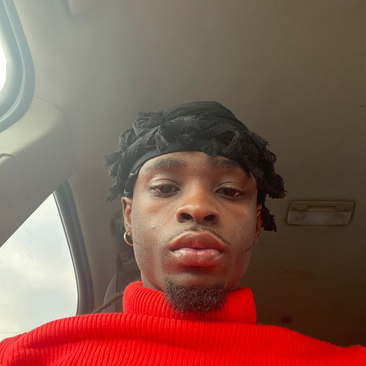 edogedog