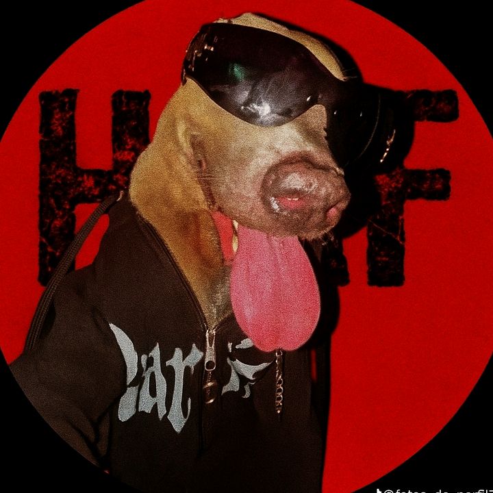 hafranks