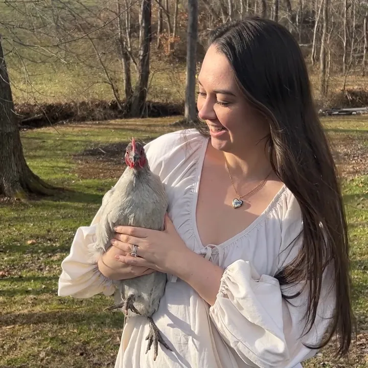 howaboutahomestead