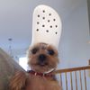 killerswag1