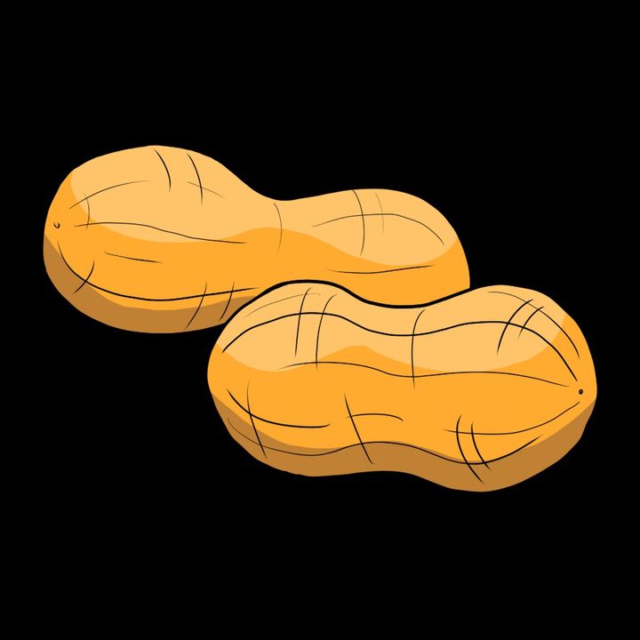 mr.peanutguy1