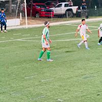 fabionica10