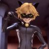 therealcatnoir4