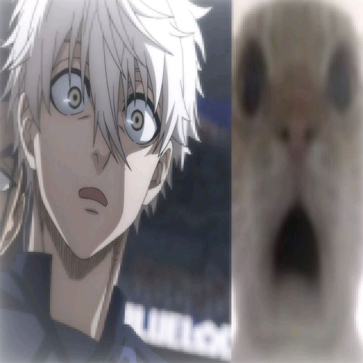 haru.com_