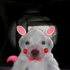 norahsbackup4