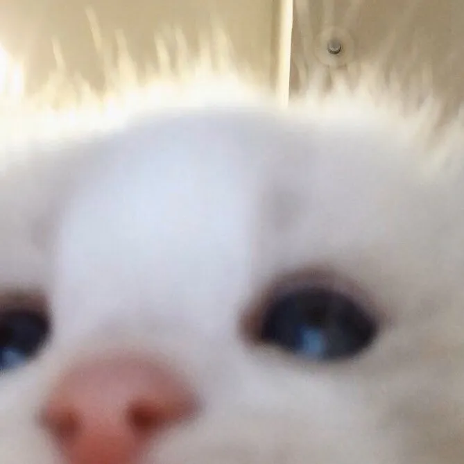 th3eepyalt