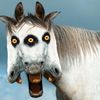 babyunicorn72