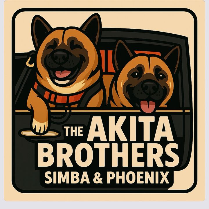 akitabrothers