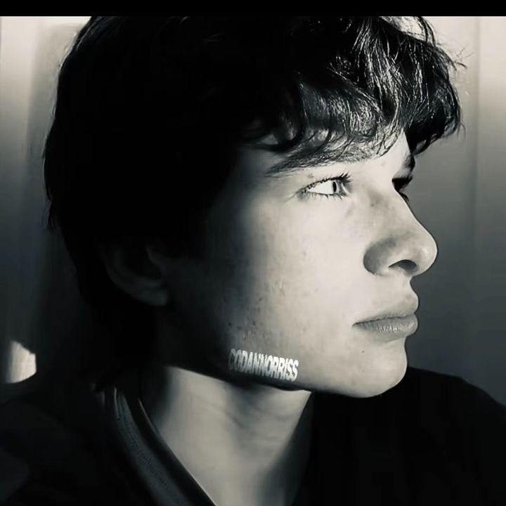 𝙙𝙮𝙡𝙖𝙣® - original sound - codannorriss