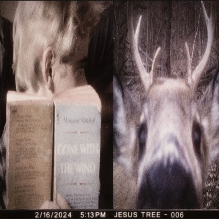ponyboyscutoffshirtsleve
