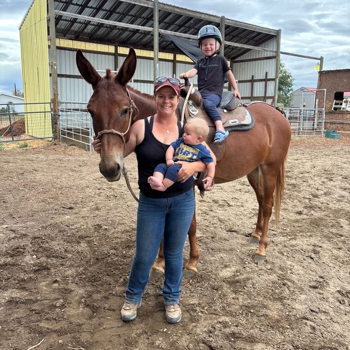 @kendra_horses_mules