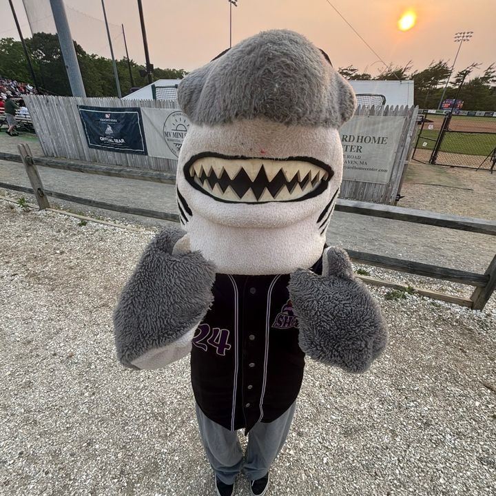 marthasvineyardsharks
