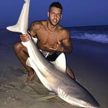 lisharkman.team