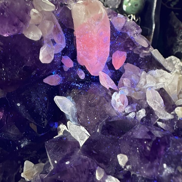 crystalparrotcrystals