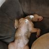 cayden22_