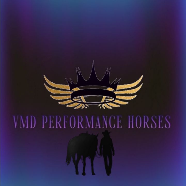 vmd_performance_horses