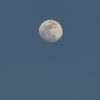 lunas.way