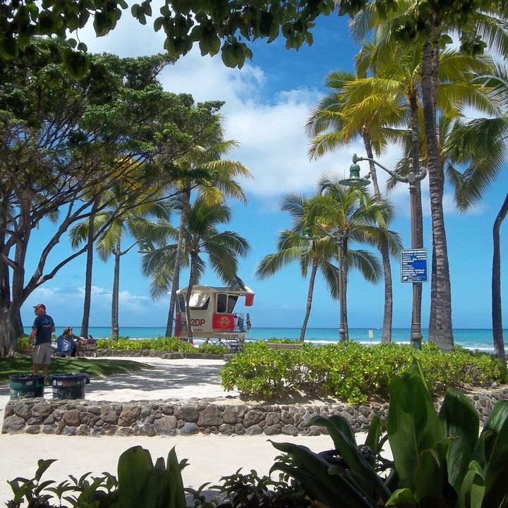 dahuoba00