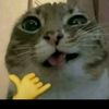 @fanman933
