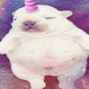 .katseyemini