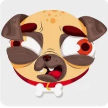 funny.animal.camp