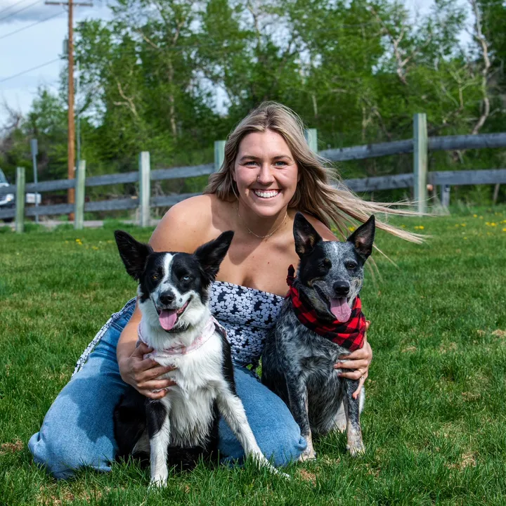 thezcattledogs
