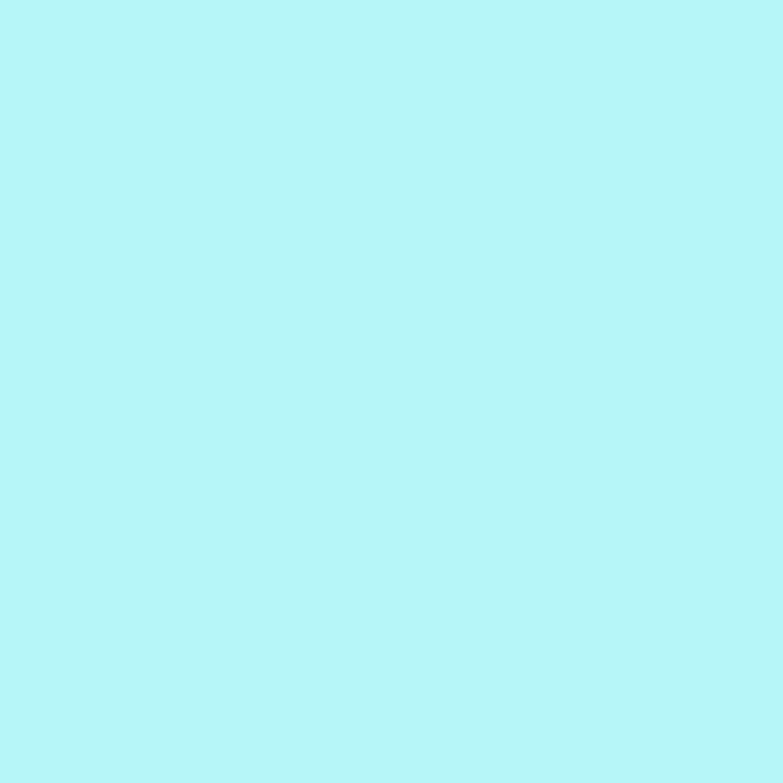 iiam_briee1