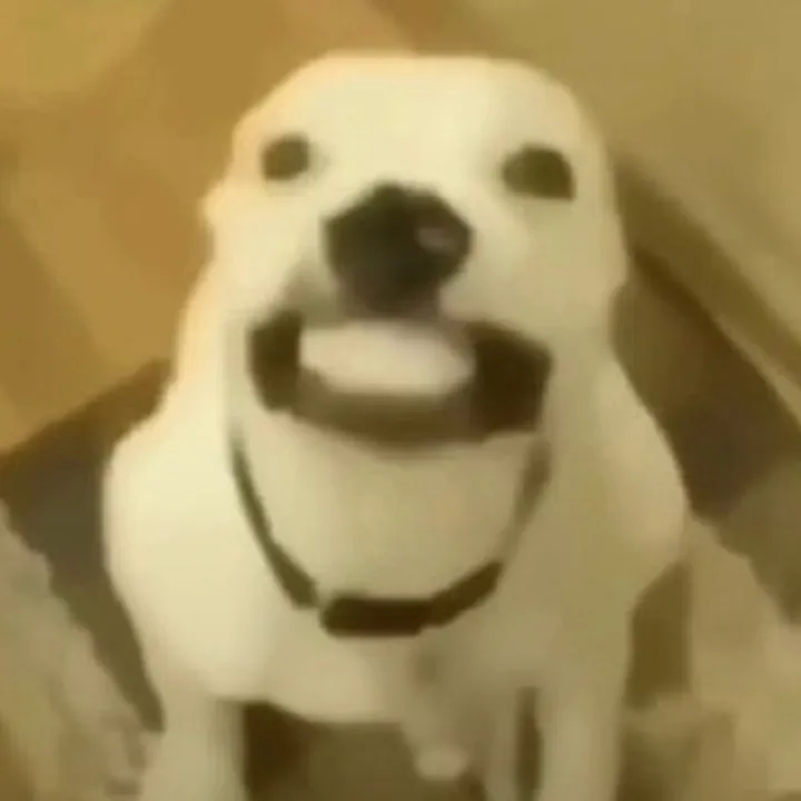 sophhbeeb