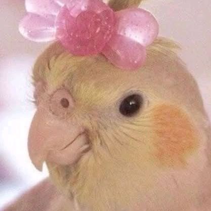 glitter_bird_bird
