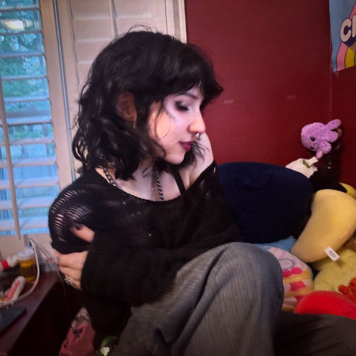 pinkertonpony