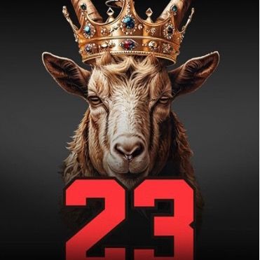 @lebronbballking