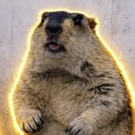 @dailymarmot00